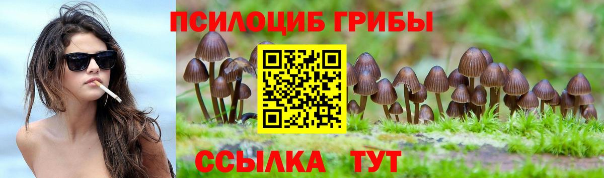 Псилоцибиновые грибы ЛСД Нефтекумск